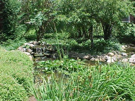 11&#039; x 16&#039; Pond with Mature Landscaping